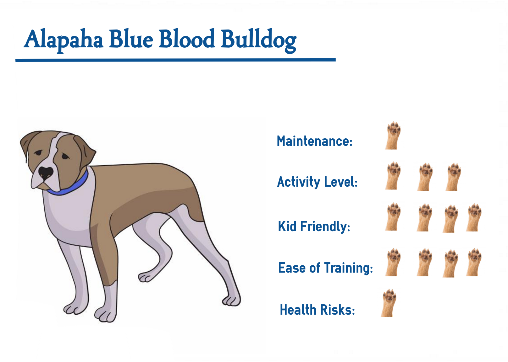 blueblood french bulldogs