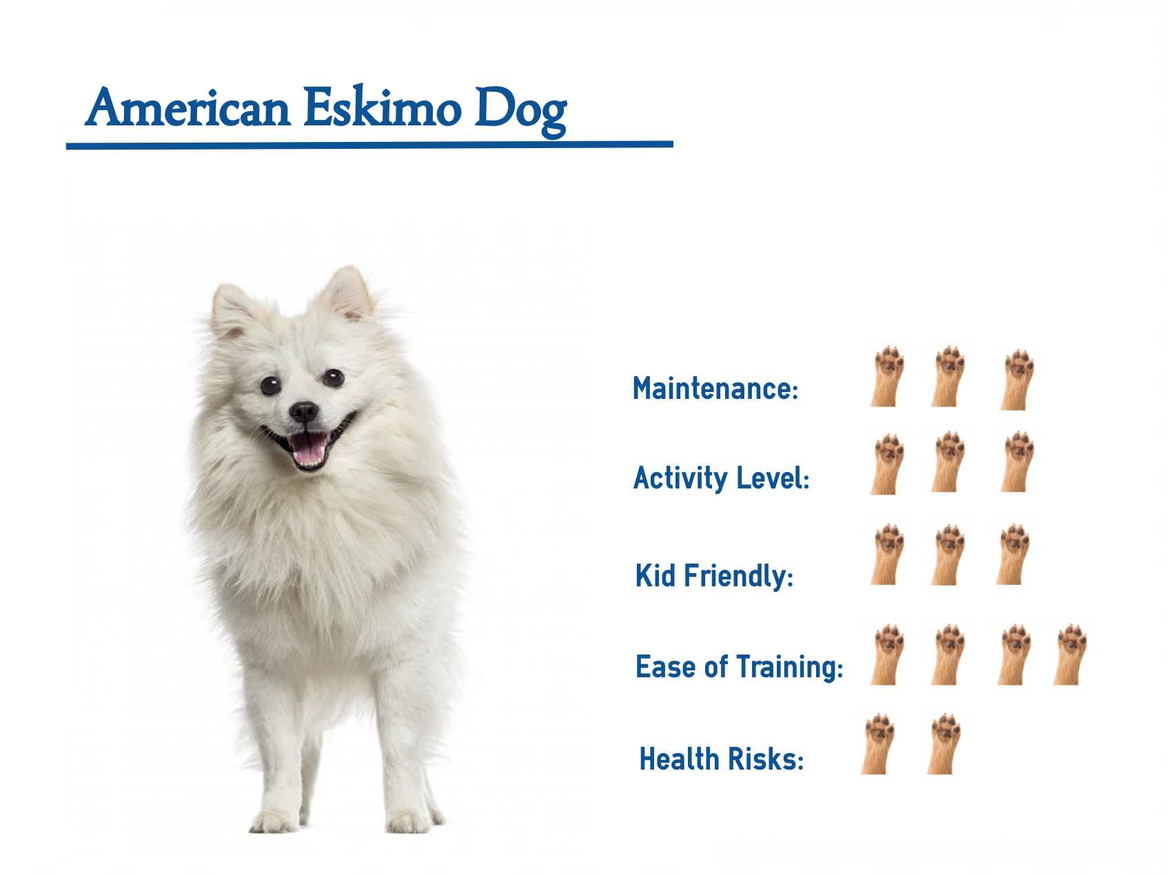 American Eskimo Dog… Your Guide to Best Care.