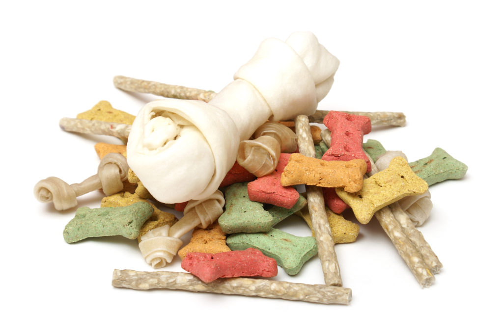 Best Jerky and Rawhide Dog Treats That Your Furry Friend Will Enjoy