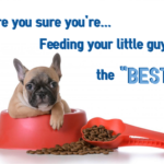 best rated puppy dog food