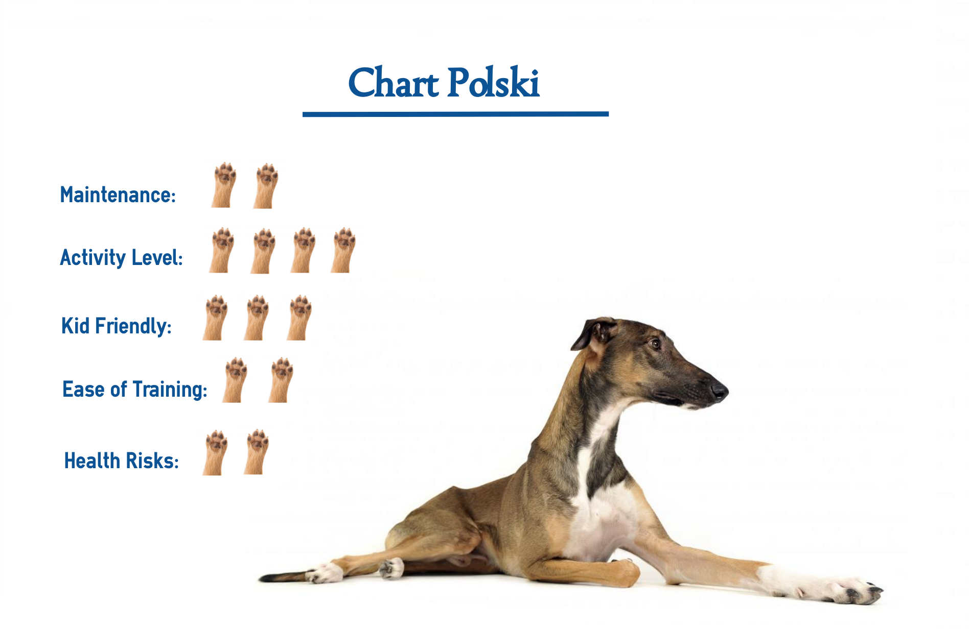 Chart Polski Dog Breed Everything You Need To Know At A Glance
