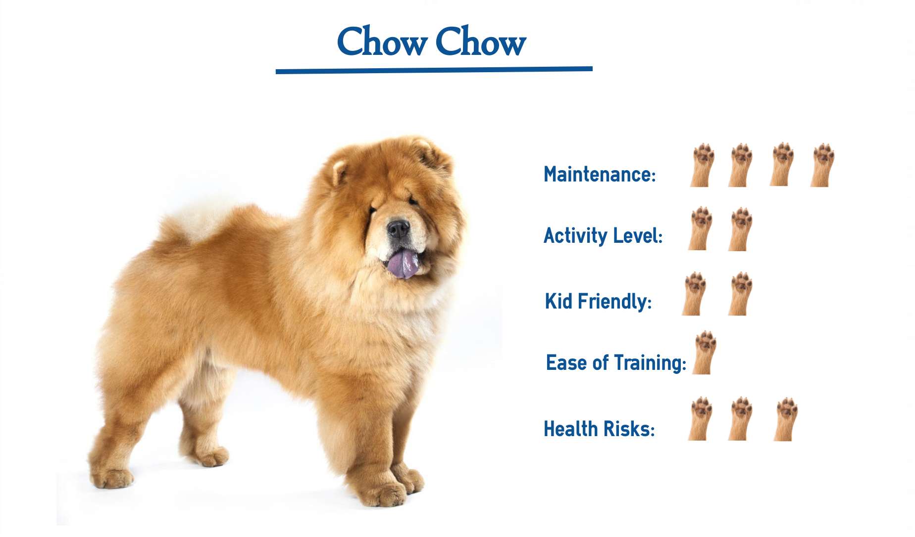 Baby chow cheap puppies