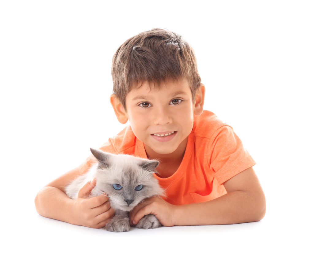 Feline Viral Conjunctivitis… AKA Cat Eye Infection… symptoms and costs.