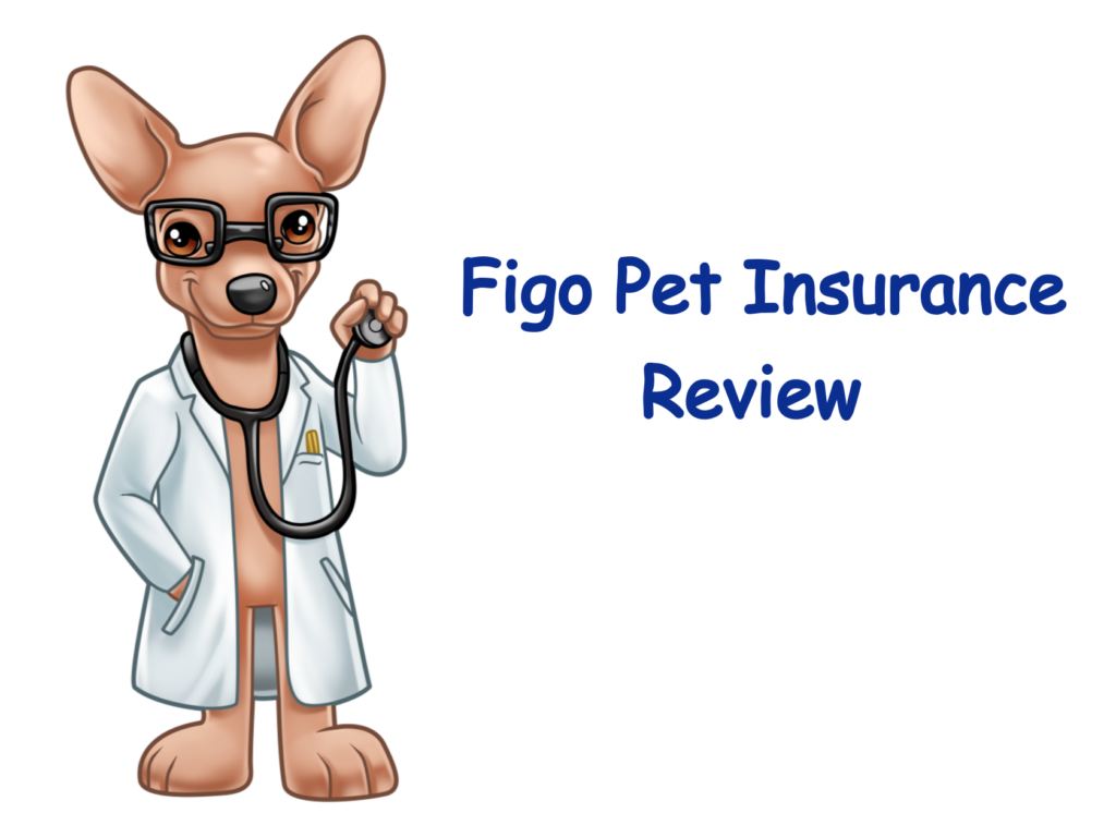 Figo Pet Insurance Company Review