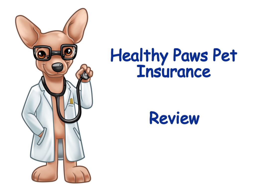 Healthy Paws Pet Insurance Review