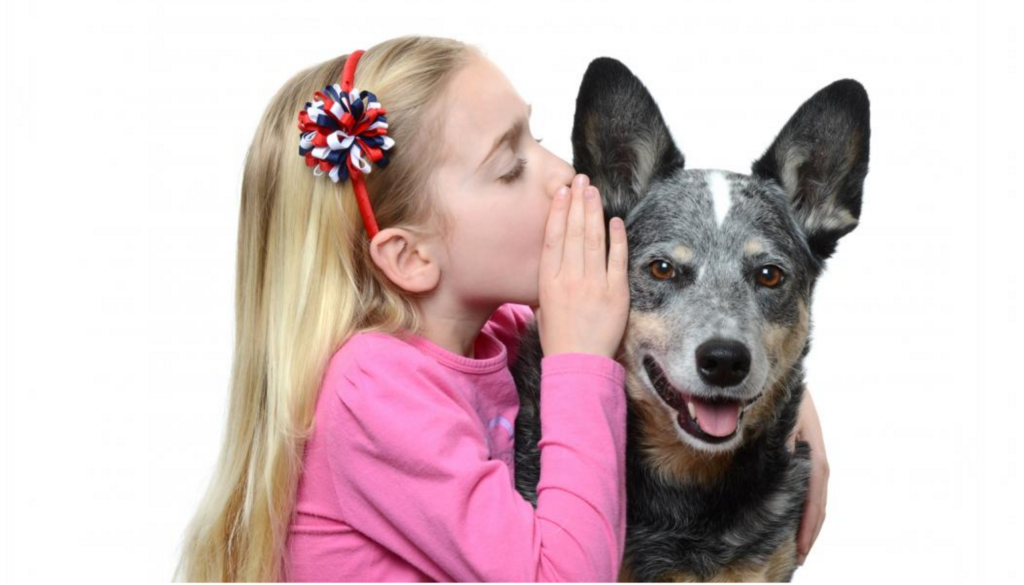 hearing-loss-in-dogs-everything-you-need-to-know-to-keep-them-safe-and