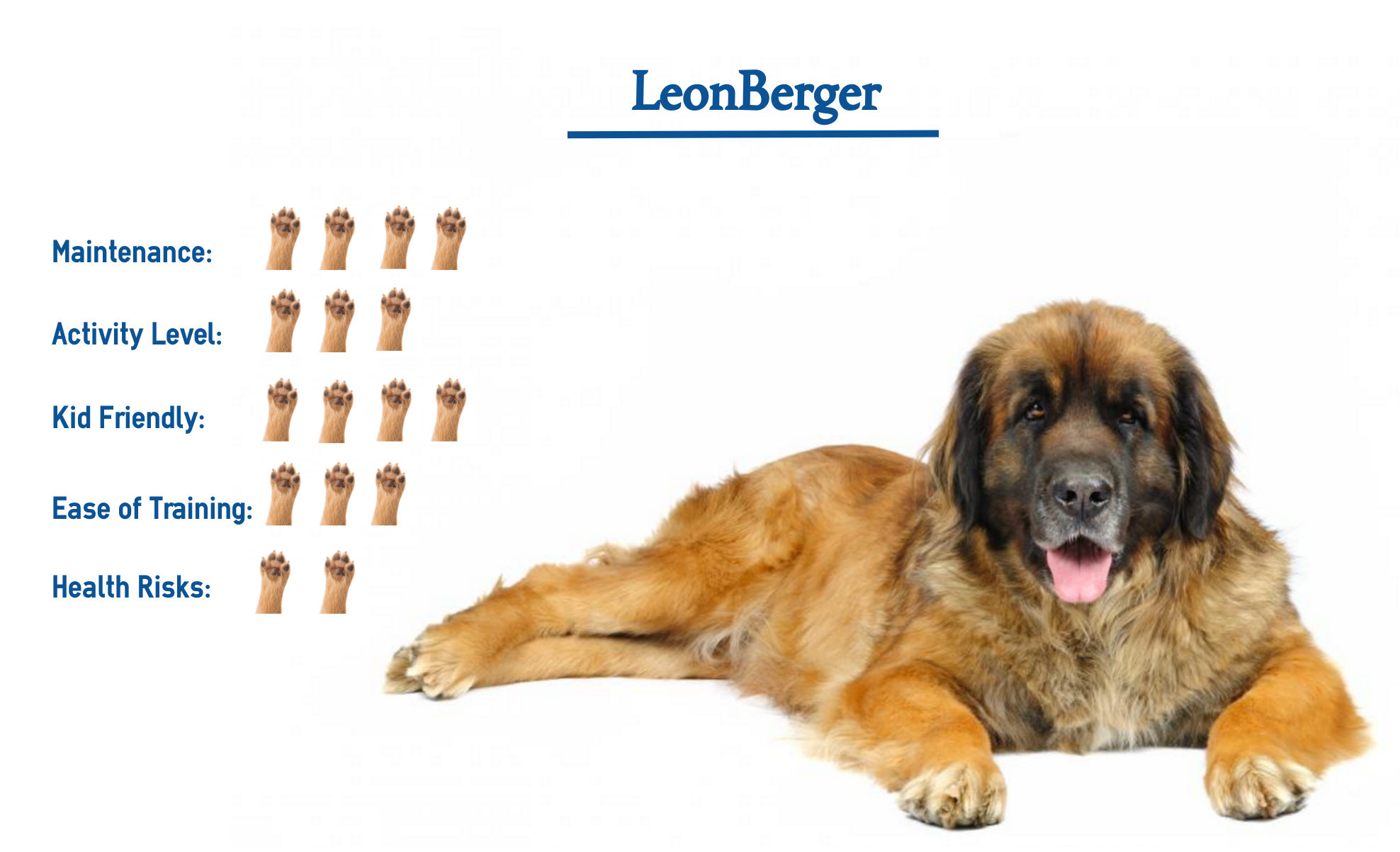 leonberger dog size