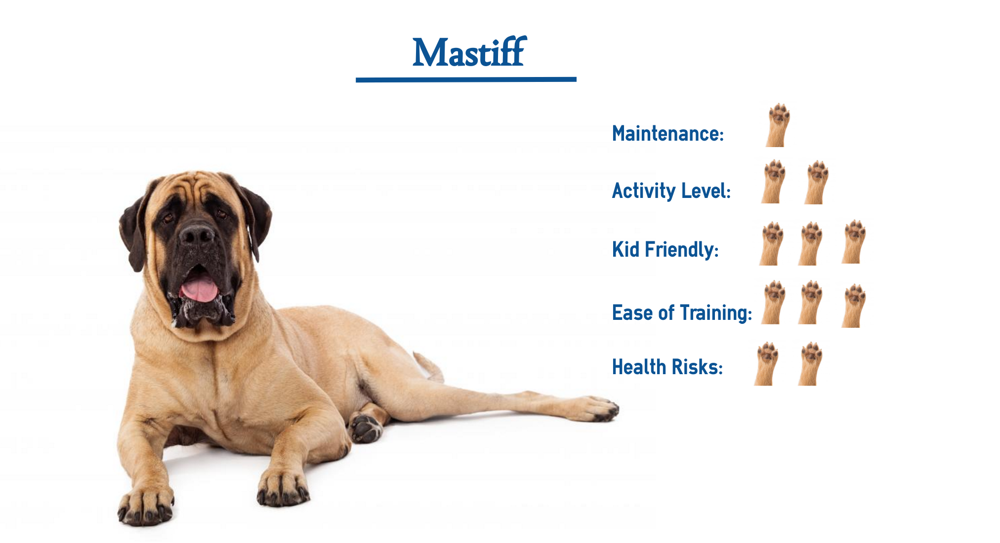 do english mastiffs make good guard dogs