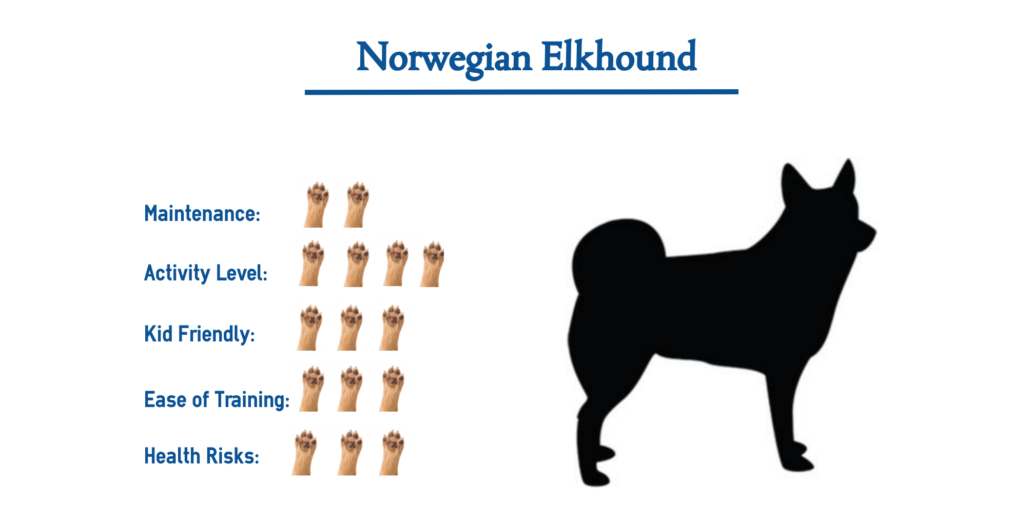 norwegian dog breeds