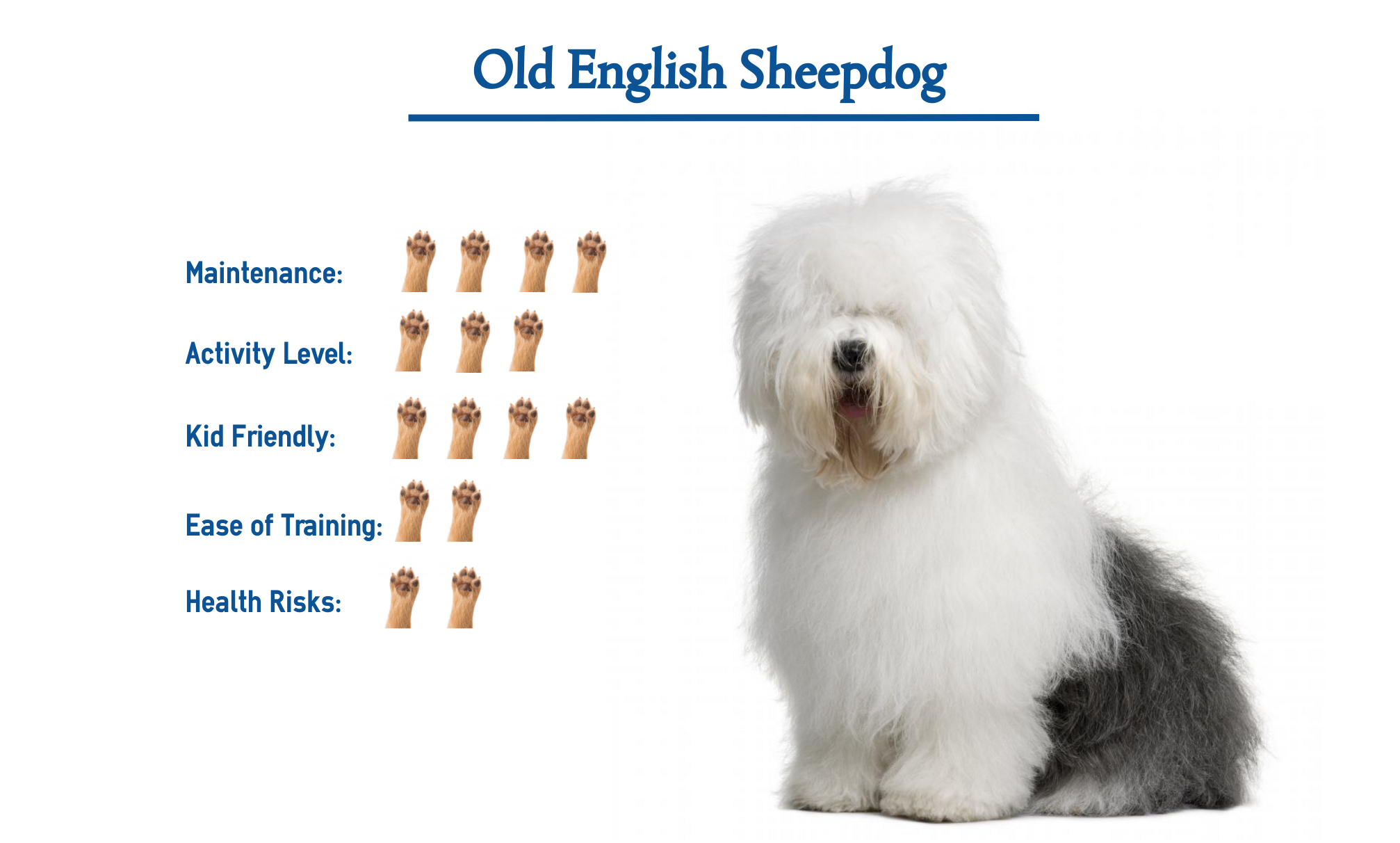 what are the health issues with old english sheepdogs