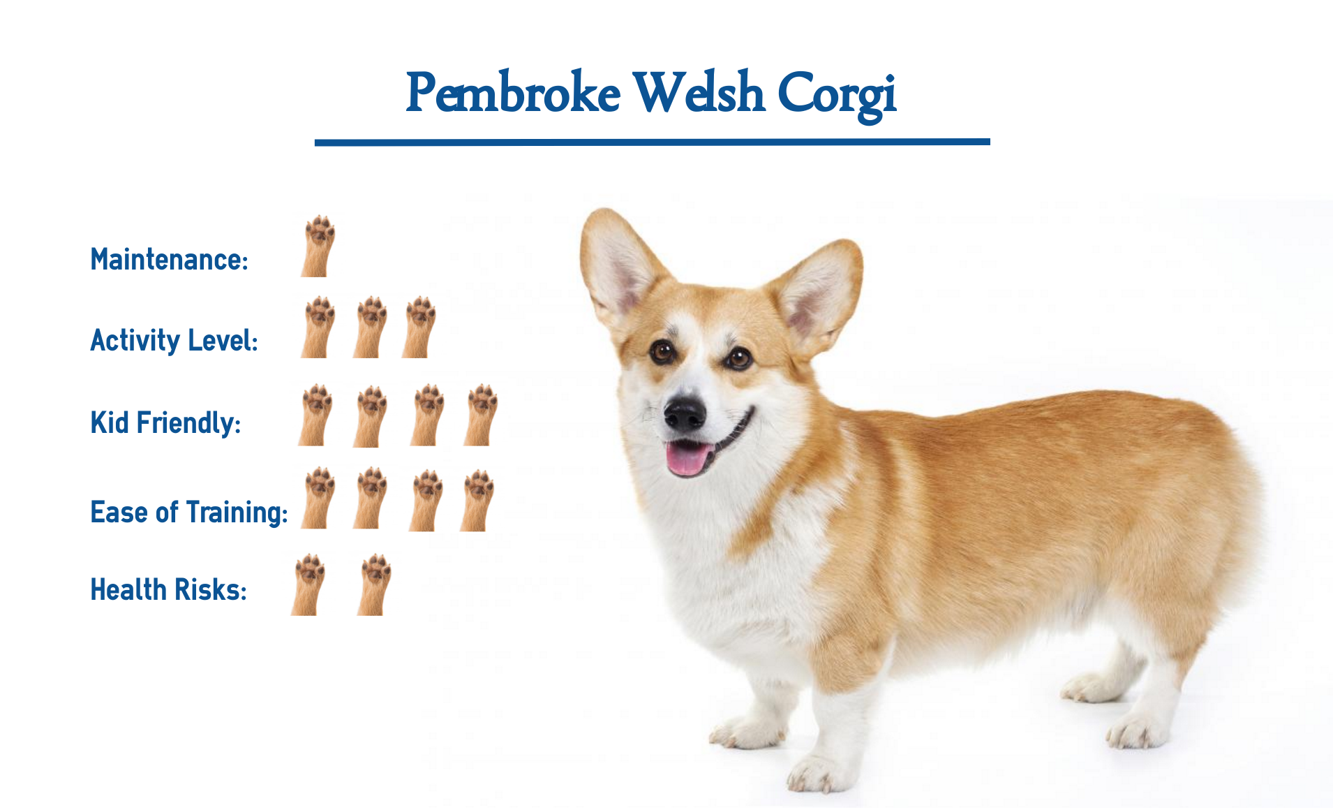 are pembroke welsh corgi good with kids