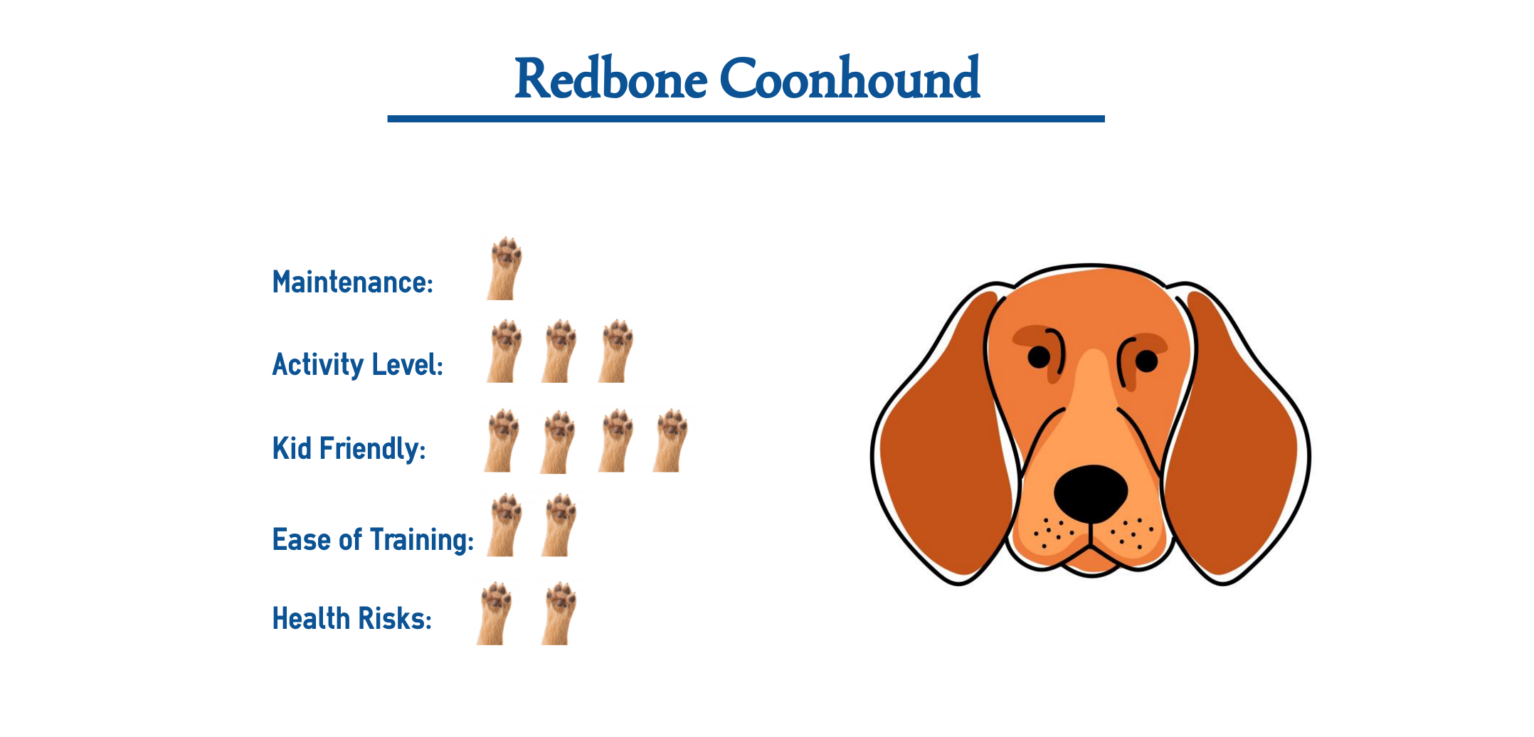 redbone coonhound facts