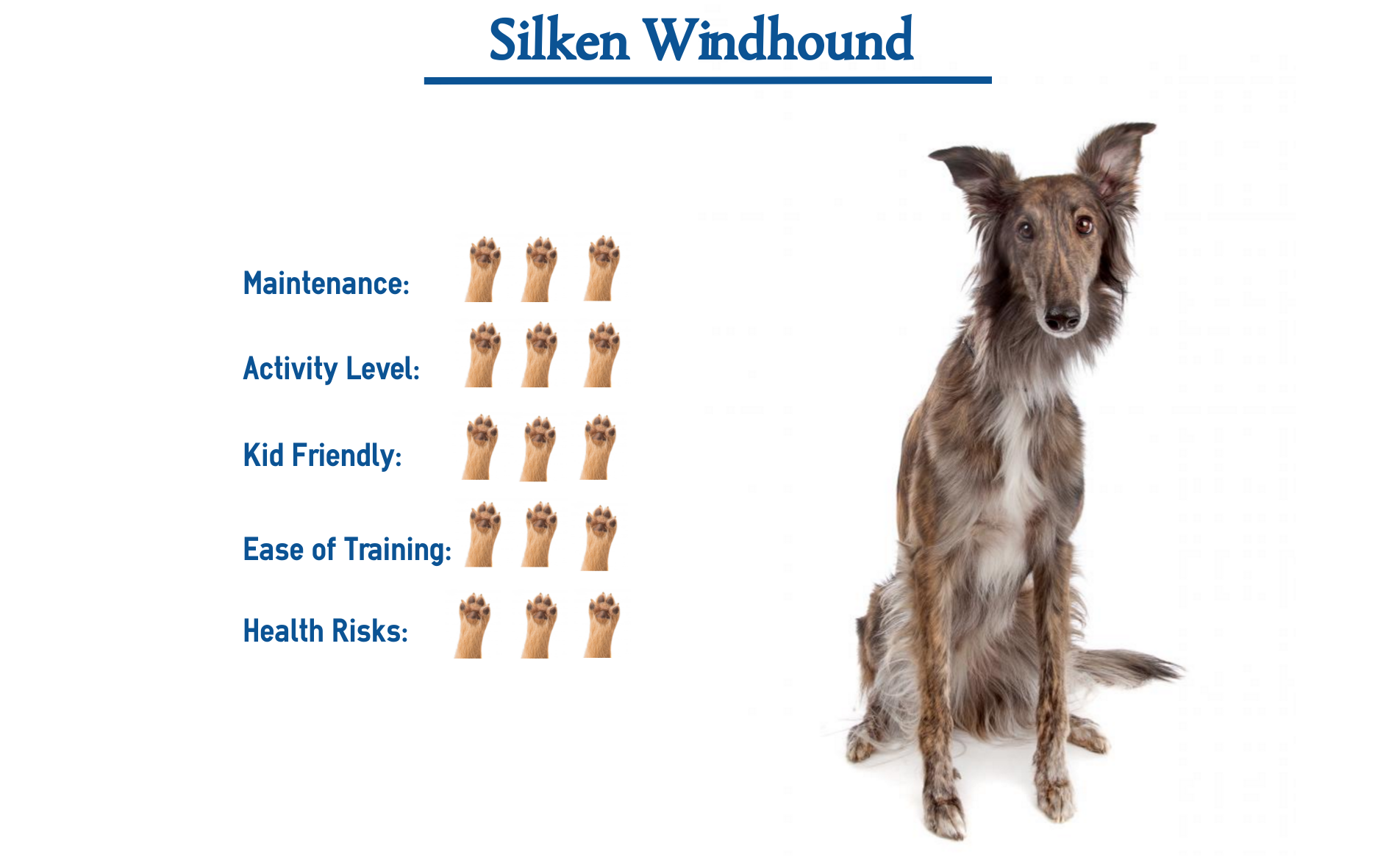 are silken windhound good with kids